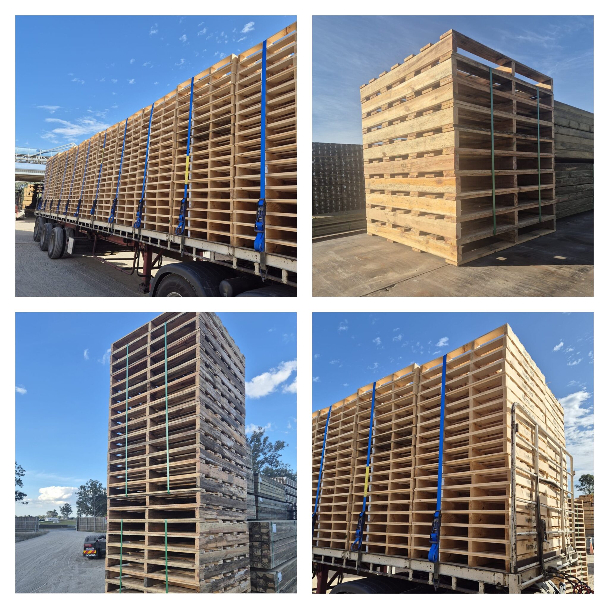 How DynaGroup Turns Timber Waste into High-Performance Pallets - Dyna Group